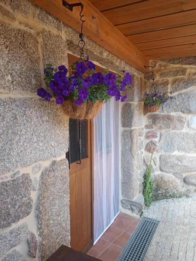 Apartment Do Xures